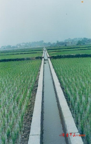 新化县移民稻田低改示范点