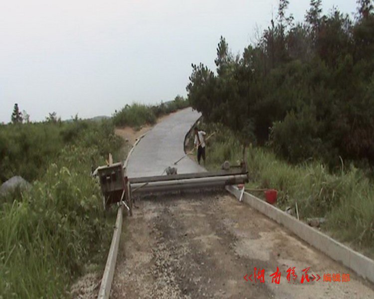 武冈市稠树塘镇龙形村硬化道路