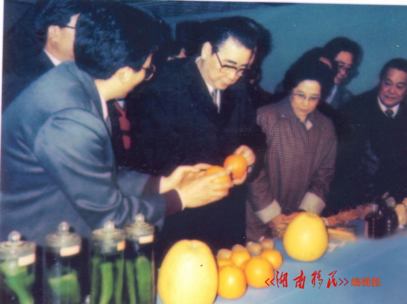 全国人大常委会原委员长李鹏在东江库区视察