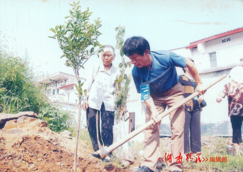 涟源市桥头河安置点三峡移民王成信到新家后栽下第一棵树