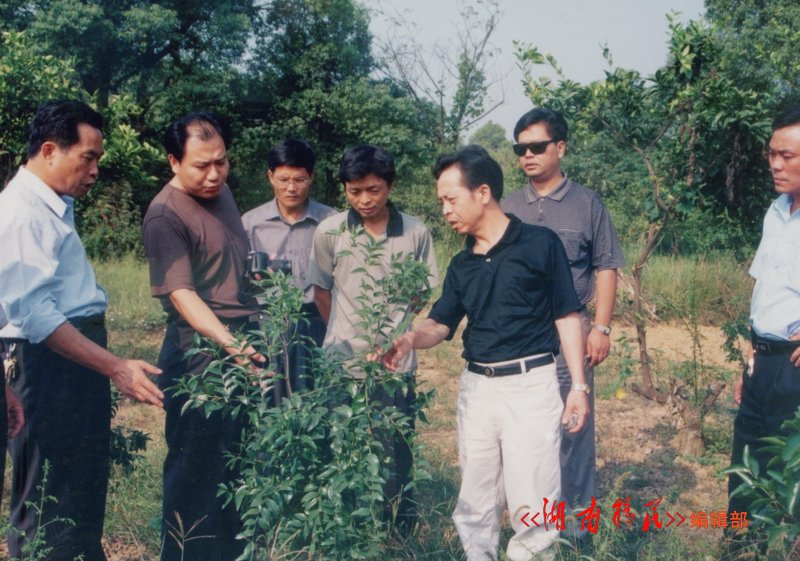 省移民局副局长吕祚亚在永州市检查三峡移民产业开发情况