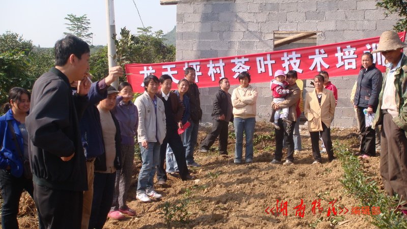 古丈县茶叶局领导在龙天坪村为移民上茶叶栽培技术课