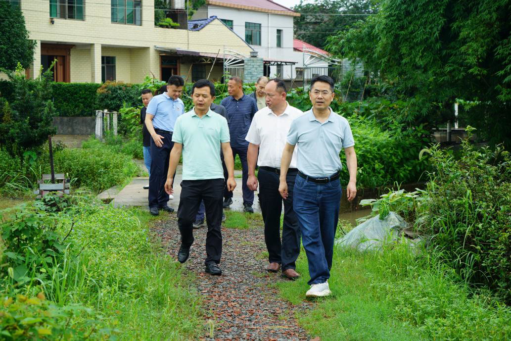 综合部第一党支部赴望城区格塘村开展 "机关支部联基层"主题党日活动